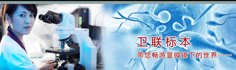 醫(yī)學(xué)教學(xué)標(biāo)本、切片標(biāo)本、各類微生物、寄生蟲、病理、組織、中藥、解剖標(biāo)本，沅江市衛(wèi)聯(lián)醫(yī)學(xué)標(biāo)本廠 電話/傳真：0737-2734242