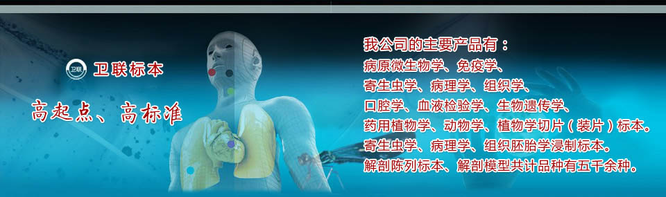 醫(yī)學(xué)教學(xué)標(biāo)本、切片標(biāo)本、各類微生物、寄生蟲、病理、組織、中藥、解剖標(biāo)本，沅江市衛(wèi)聯(lián)醫(yī)學(xué)標(biāo)本廠 電話/傳真：0737-2734242